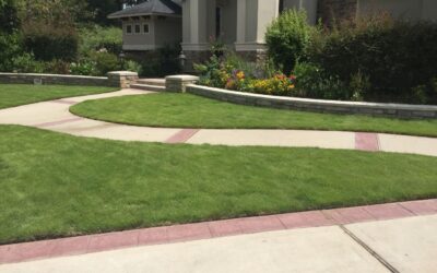 Comprehensive, Year-Round Lawn & Landscape Maintenance Plans in Kingwood, TX